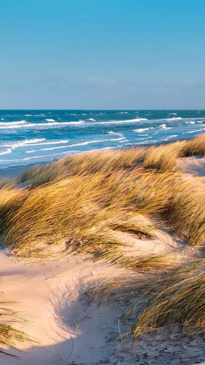 Crisp evening air — tap to plan ahead.