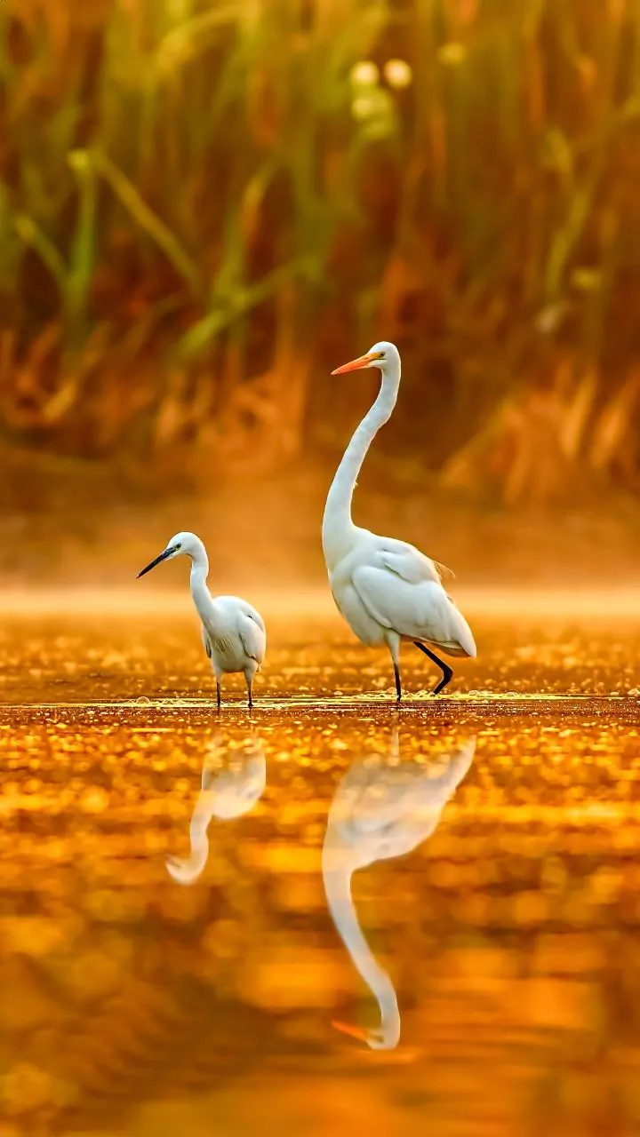 Midweek winter check — tap for today’s feel.