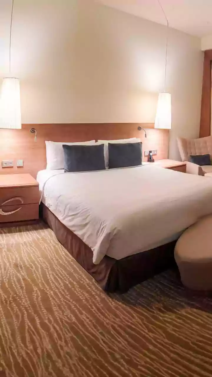 Why Pet-Friendly Accommodation Rules Can Differ Between Rooms at One Hotel