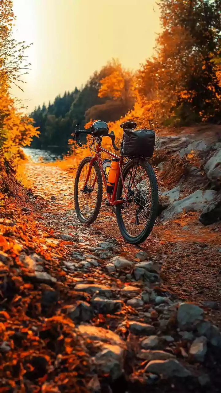 Essential Monsoon Bike Maintenance Tips for Indian Riders