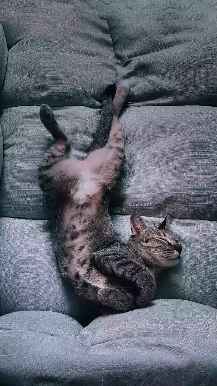 Qual a importância da posição na hora de dormir? Entenda a influência
