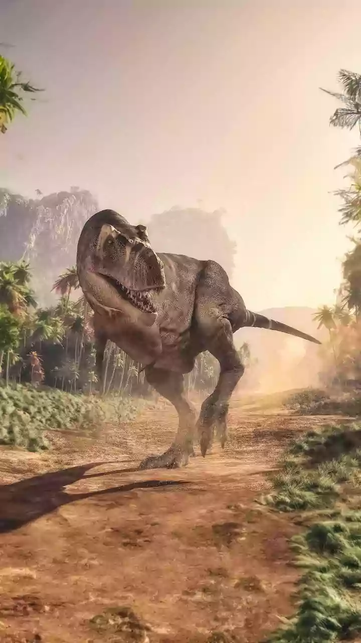 Thousands of dinosaur footprints discovered in Italian national park