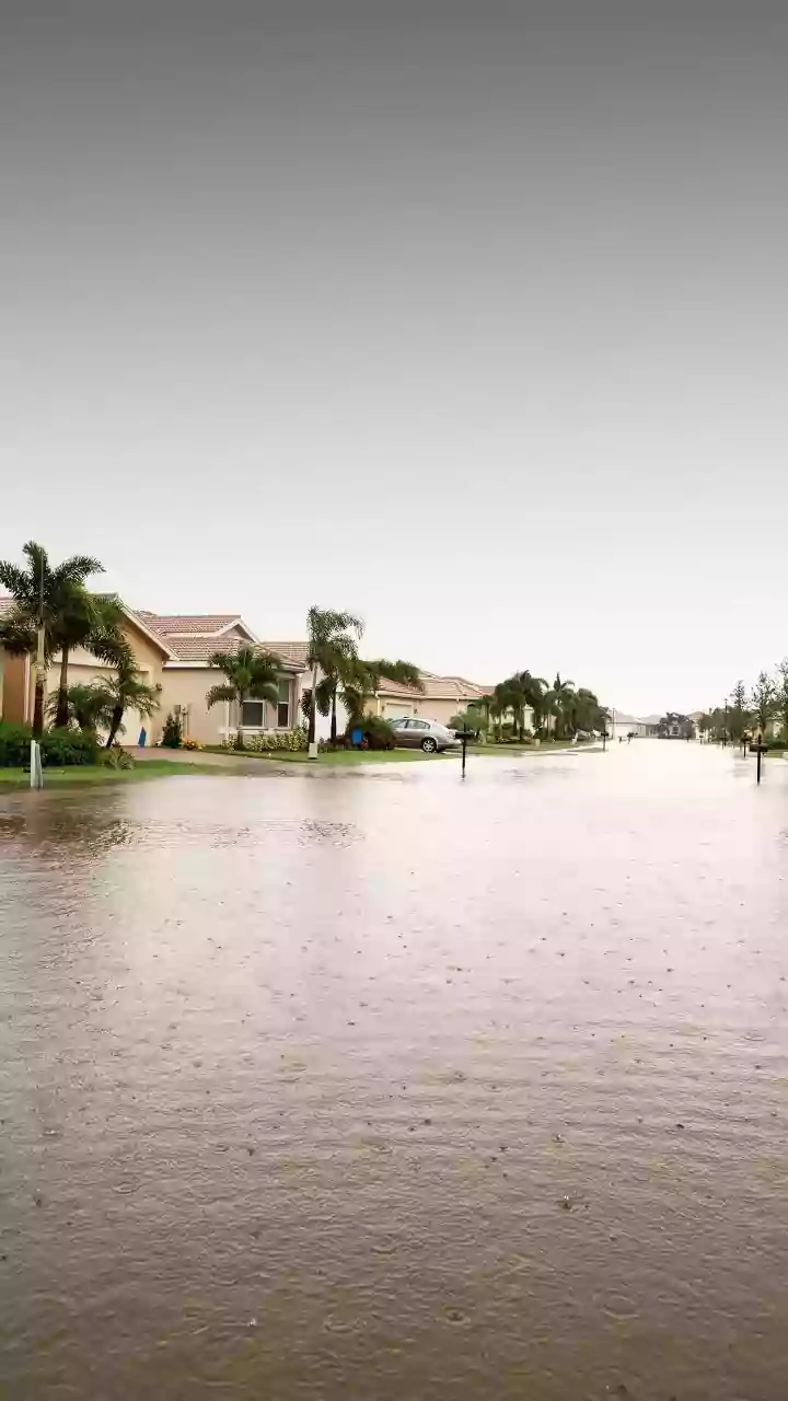 Don't Let Heavy Rains Catch You Off Guard