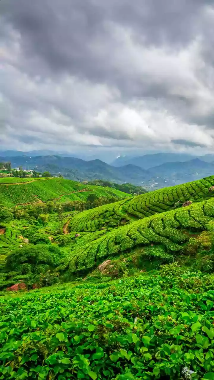 The Best Of India's Green Season: Monsoon Trips For Landscape Photography