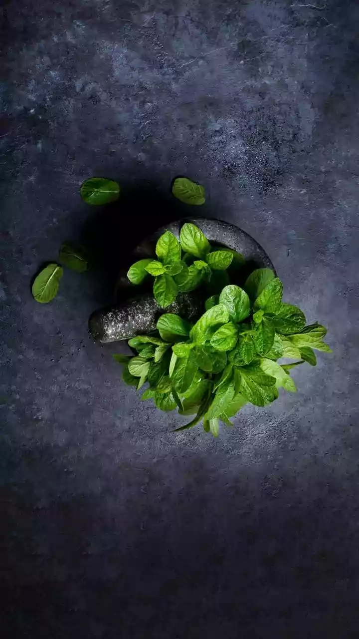 Zero waste cooking oil infusions give leftover coriander and mint stems new life