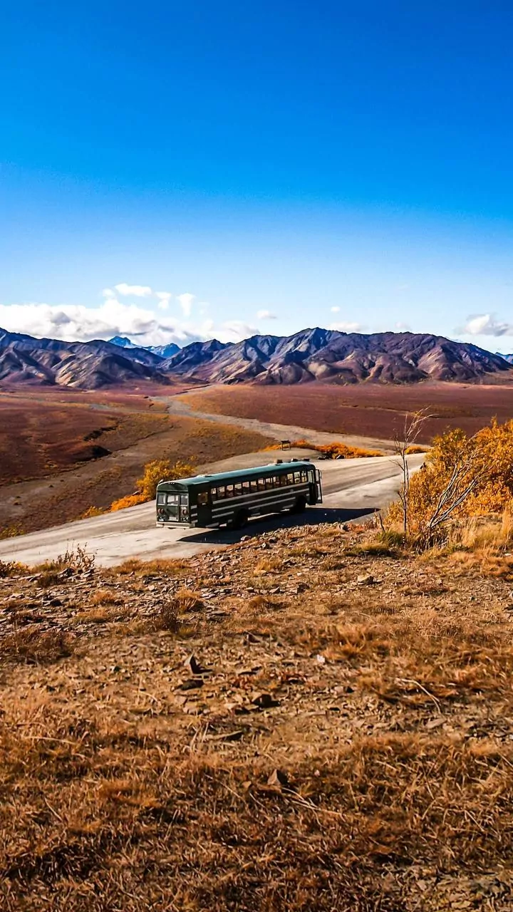 Denali's Remote Allure: Experience Uncrowded Wilderness Before 2027 Road Reopening