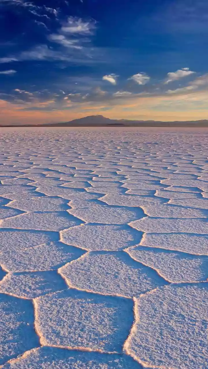 Discover the beauty of Gujarat's white salt deserts