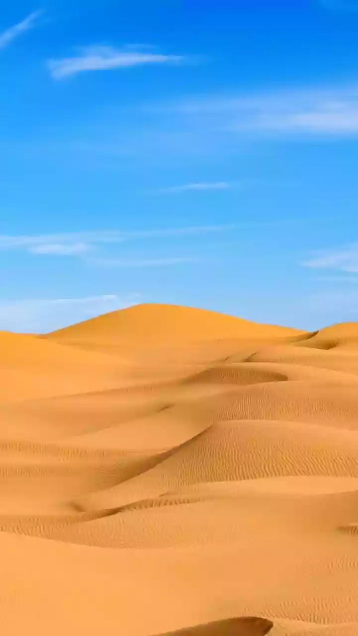 Snowfall in Saudi: A Winter Wonderland!