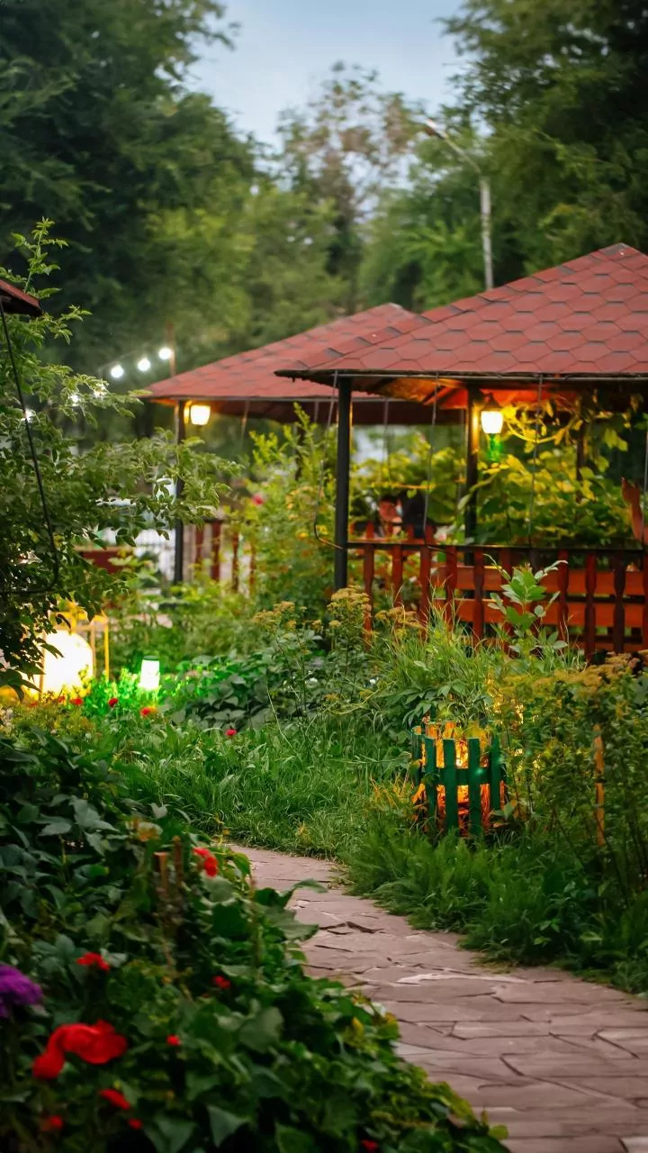 How to Create a Magical Night Garden with Evening-Blooming Plants