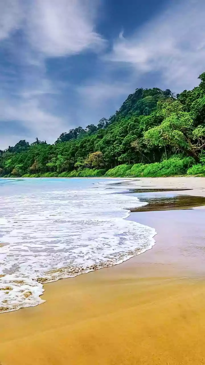 Goa for the Chaos, Kasauli for the Calm: How Young Indians Now ‘Choose Their Vibe’ for New Year Travel.