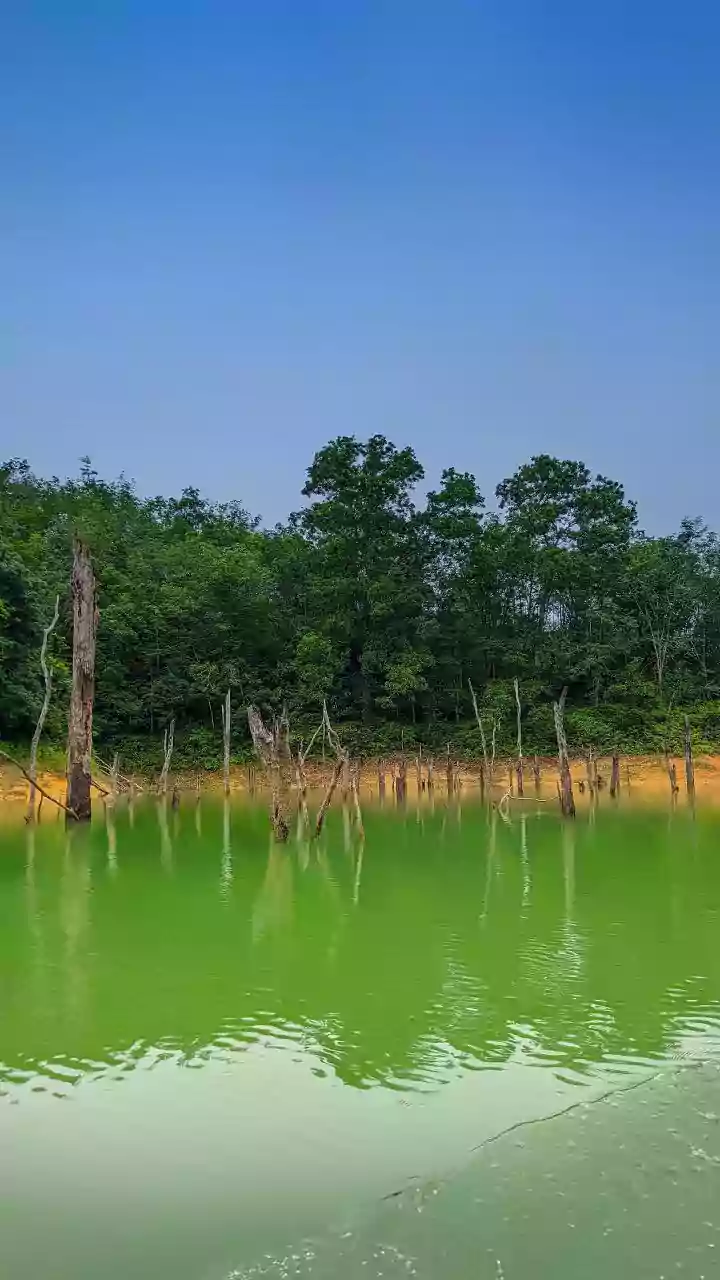 5 Iconic Wetlands of India: Wildlife Wonders!