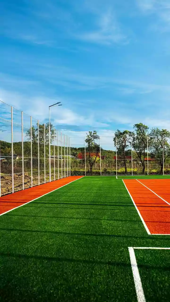 Artificial Turf vs. Real Grass: A Landscaping Expert Weighs the Pros and Cons