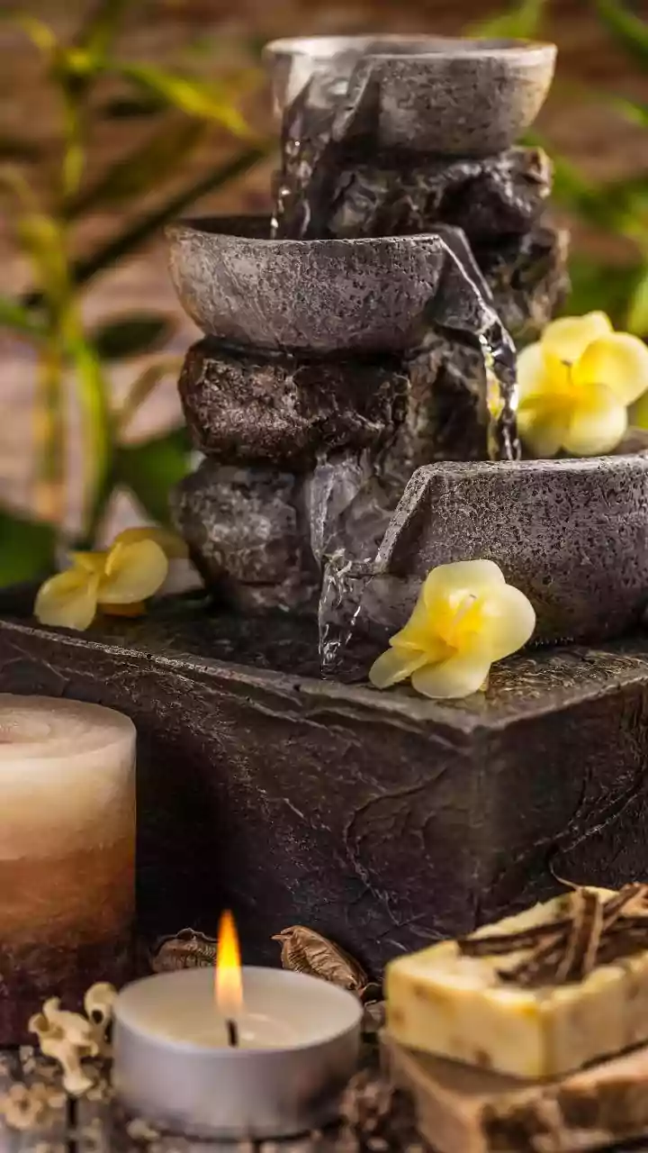 Boost 2026: Gifts of Abundance with Feng Shui