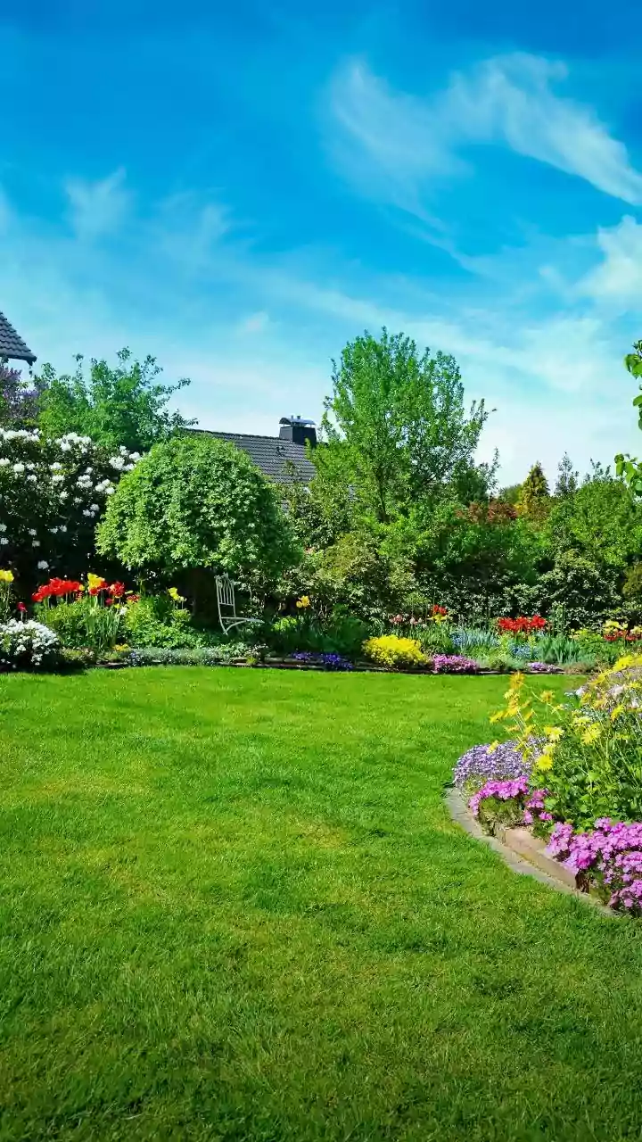 Urban Indian Gardens Are Moving Towards Plants That Need Less Daily Intervention