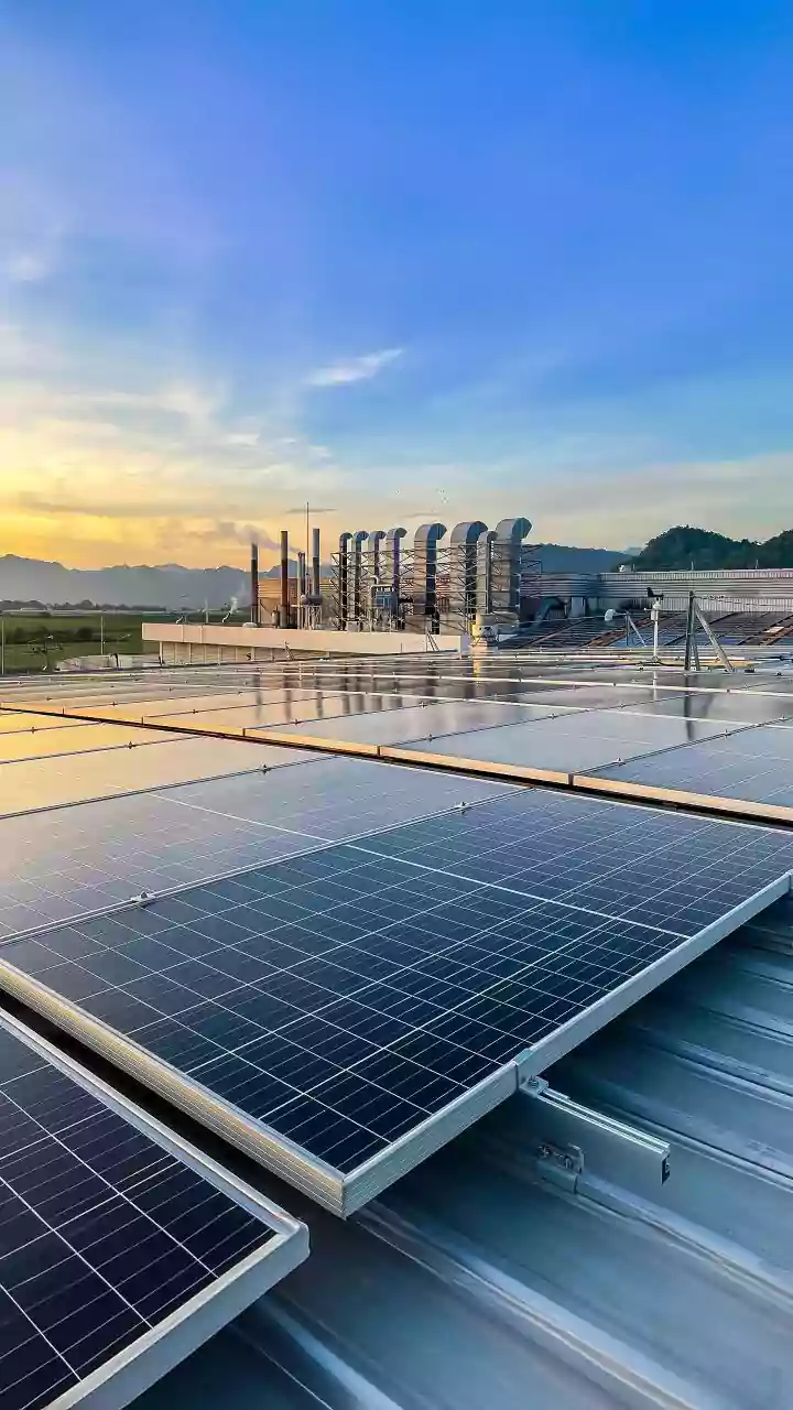 The Factory's Power System Now Includes Sunlight, Grass And A Managed Flock