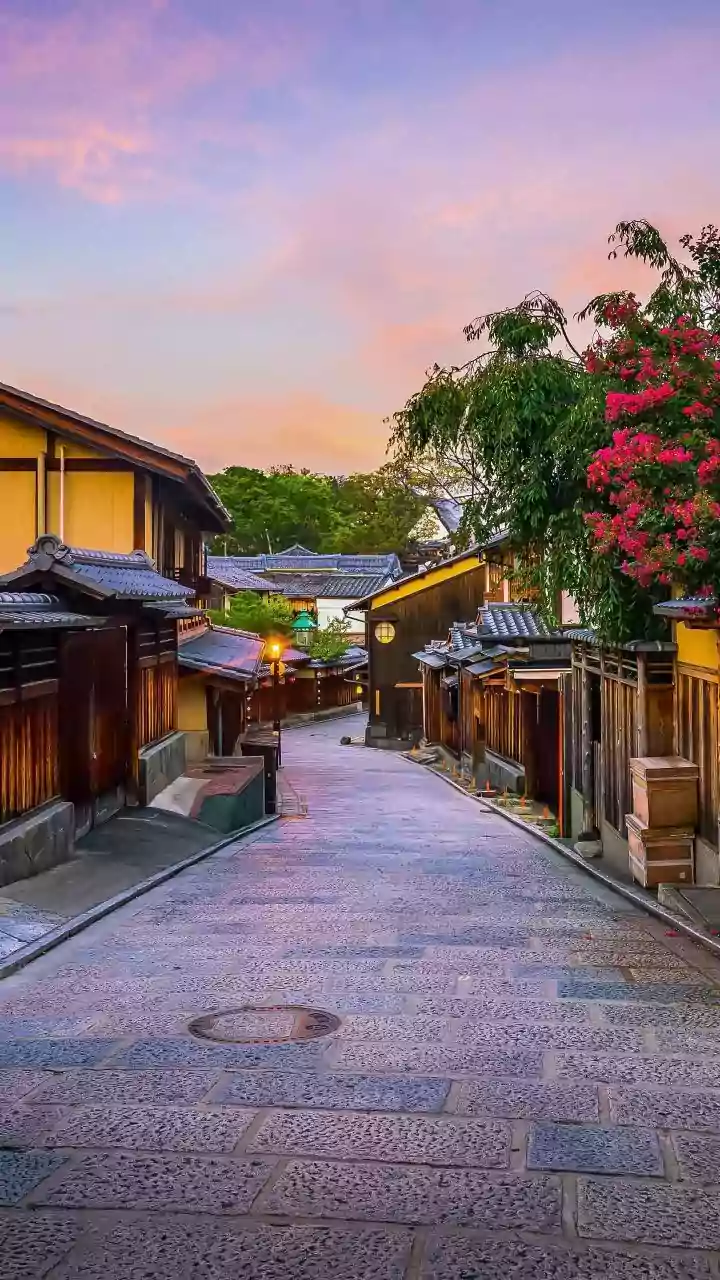 Shibuya Crossing Too Busy? Try These Calmer Japanese Neighbourhoods