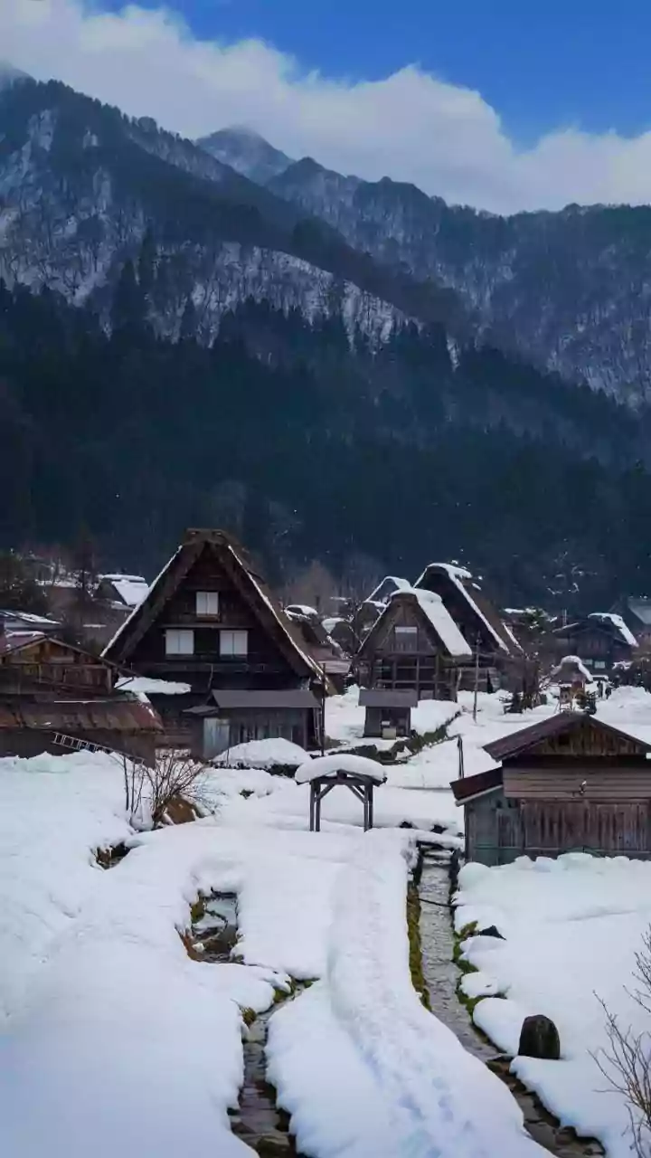 Bulan Terbaik Nikmati Salju di Jepang: Panduan Lengkap!