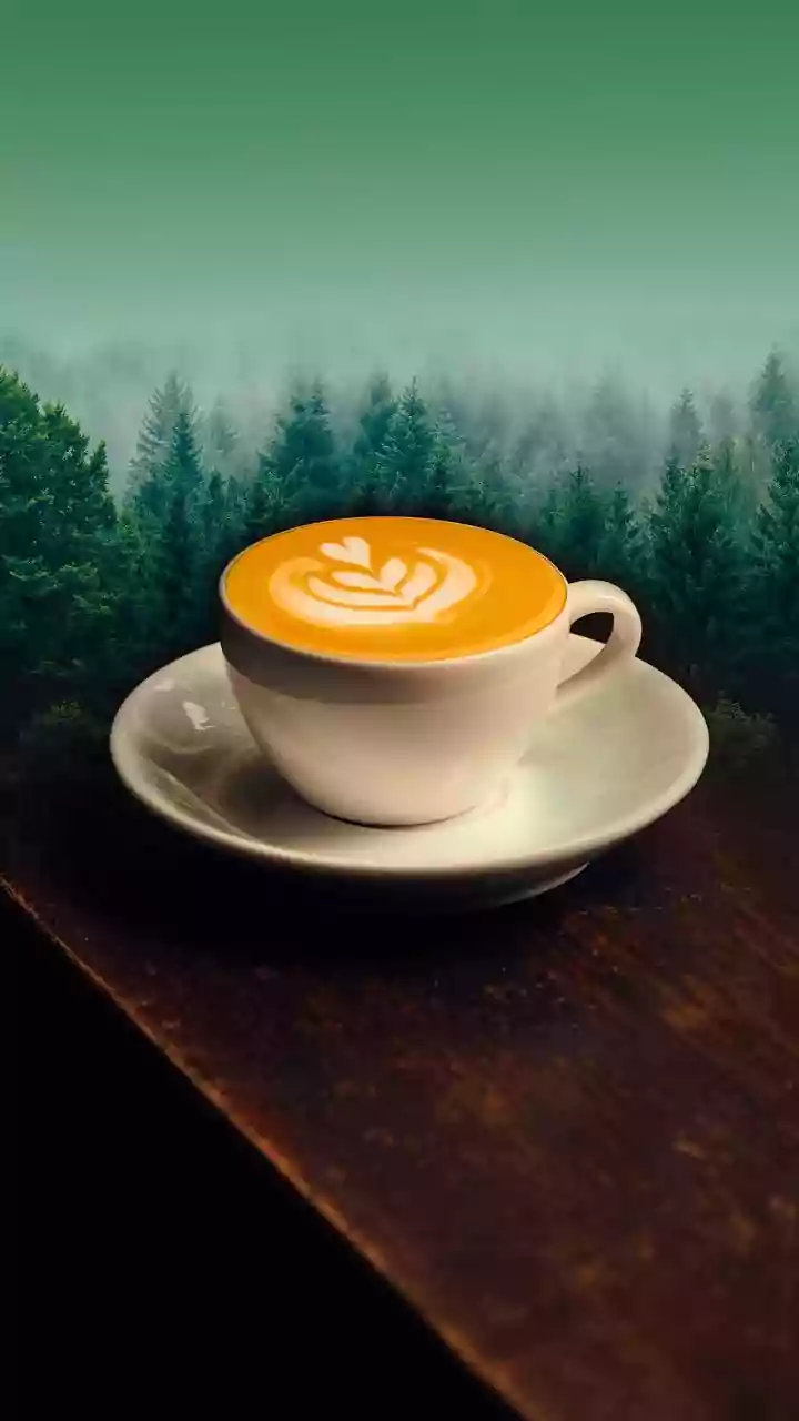 Off Season Monsoon Travellers Head To Coorg Coffee Estates For Relaxing Nature Focused Weekend Breaks