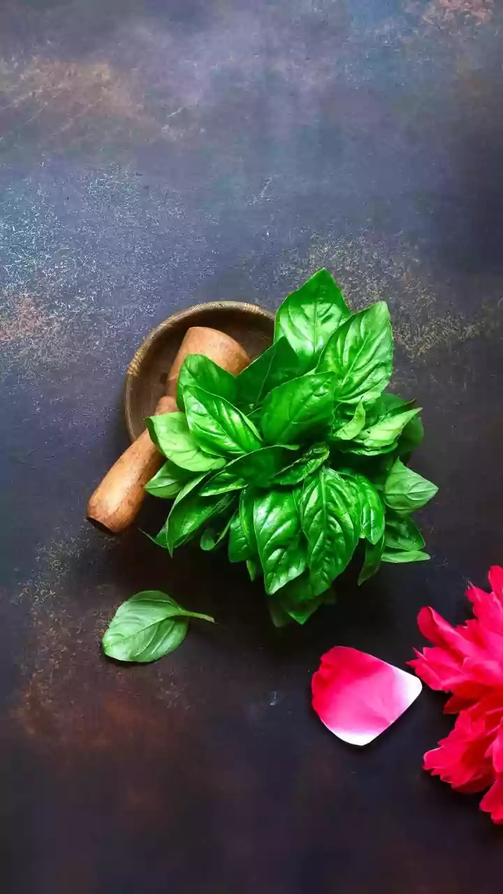 Love holy basil? You'll enjoy these dishes