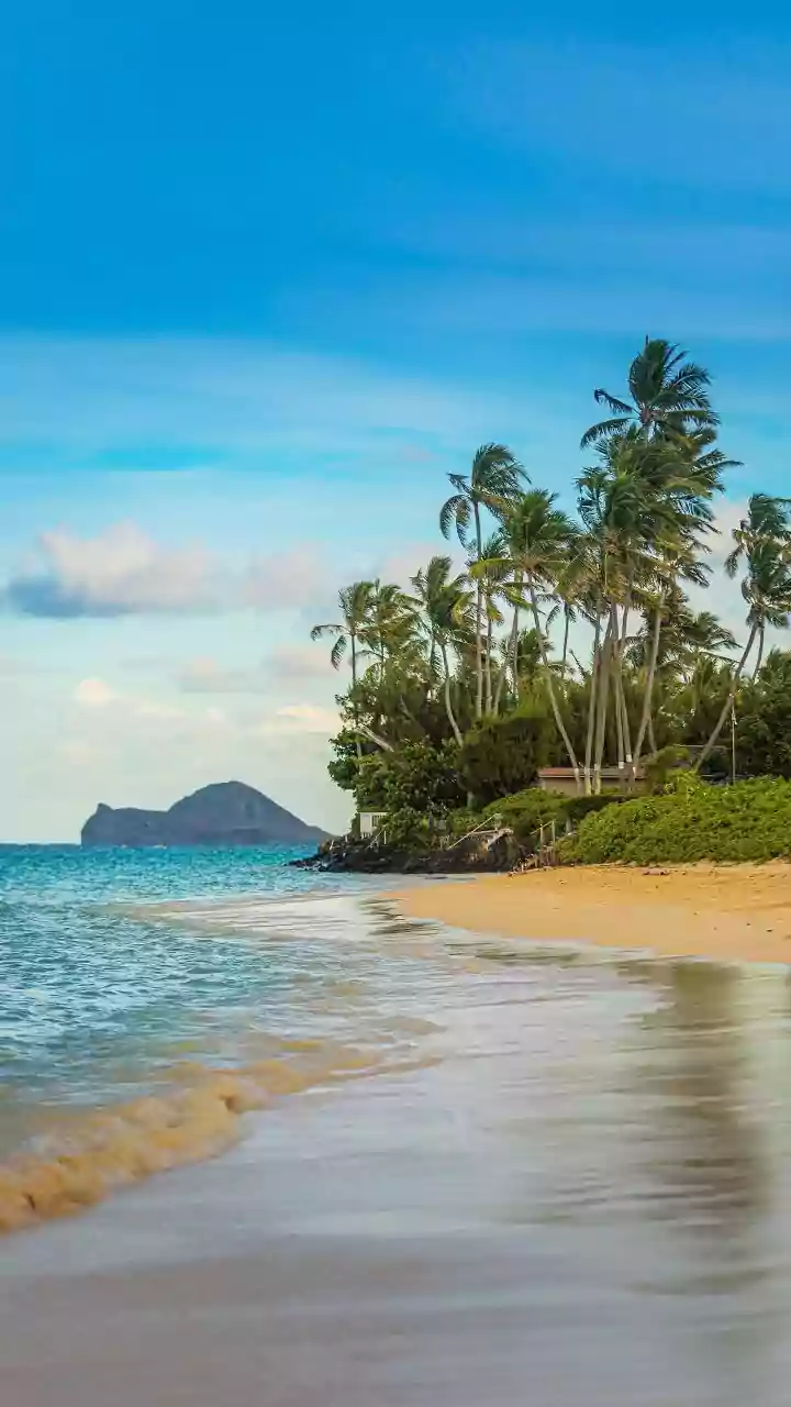 Drake Maye's Post-Super Bowl Reset: A Hawaiian Getaway with Wife Ann Michael