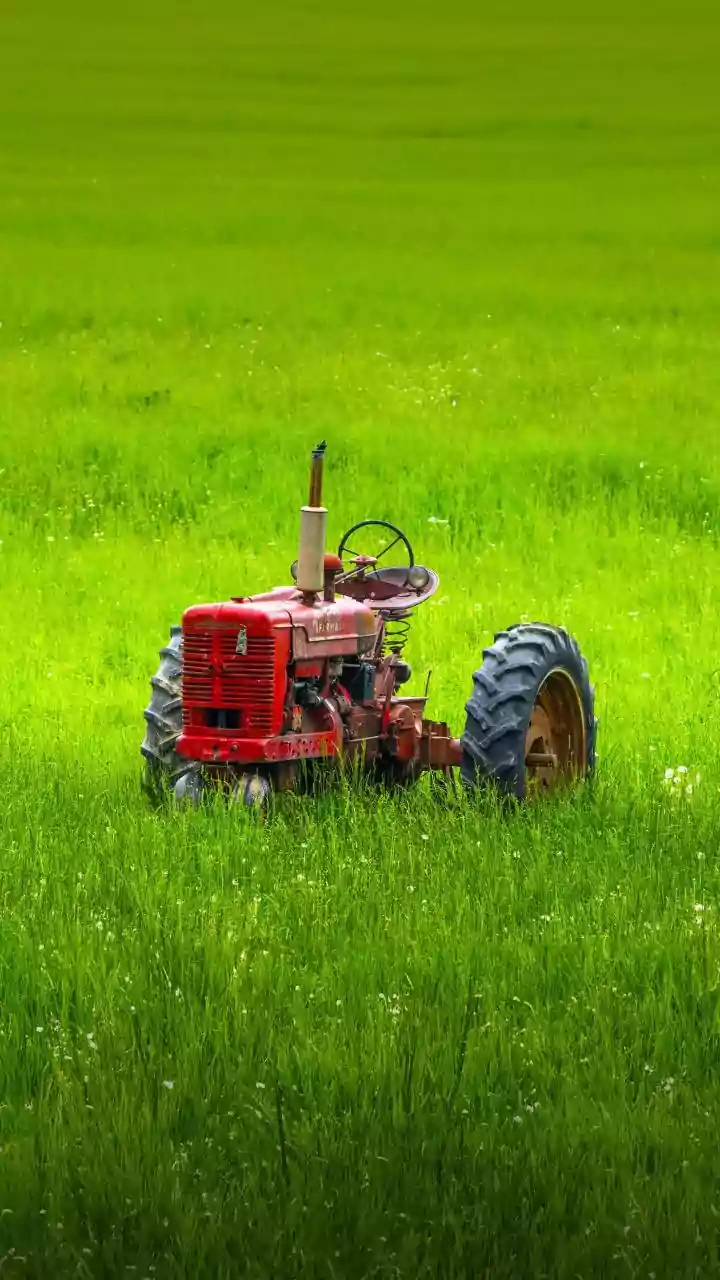 Scientists Create Non Flammable EV Batteries Using Electrolytes Derived From Agricultural Waste