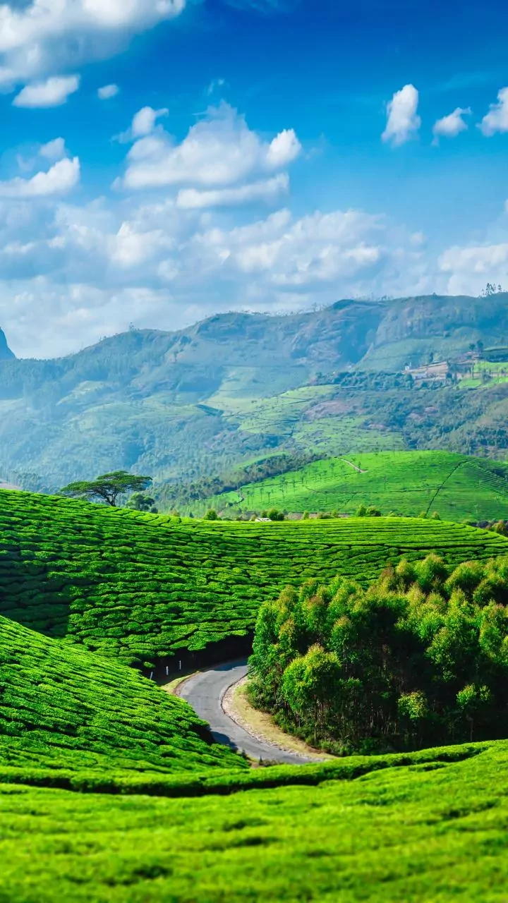 Summer Safety Advisory: Kerala MVD's Essential Tips for a Worry-Free Family Vacation