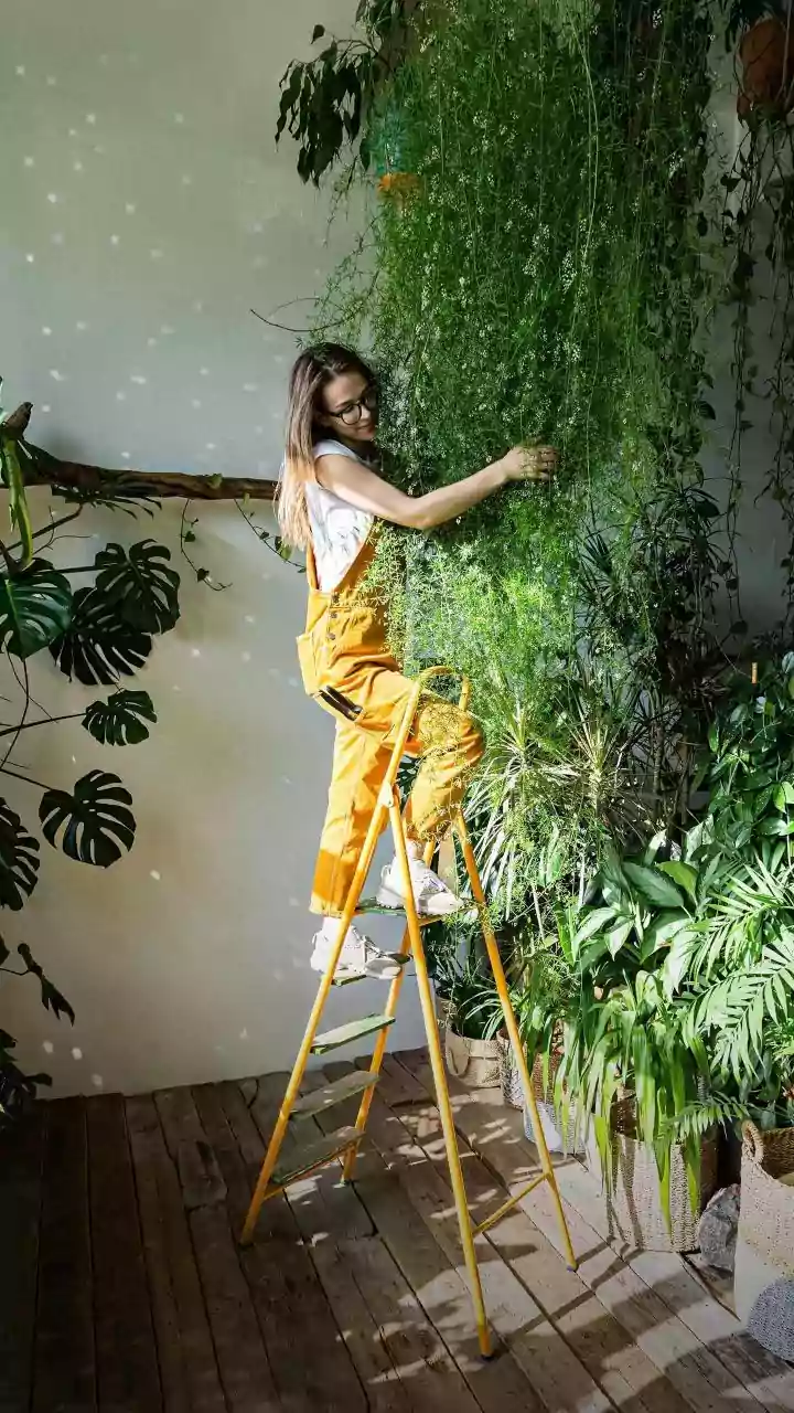 Change Indoor Plant Soil Safely Using This Simple Beginners Guide To Repotting Houseplants