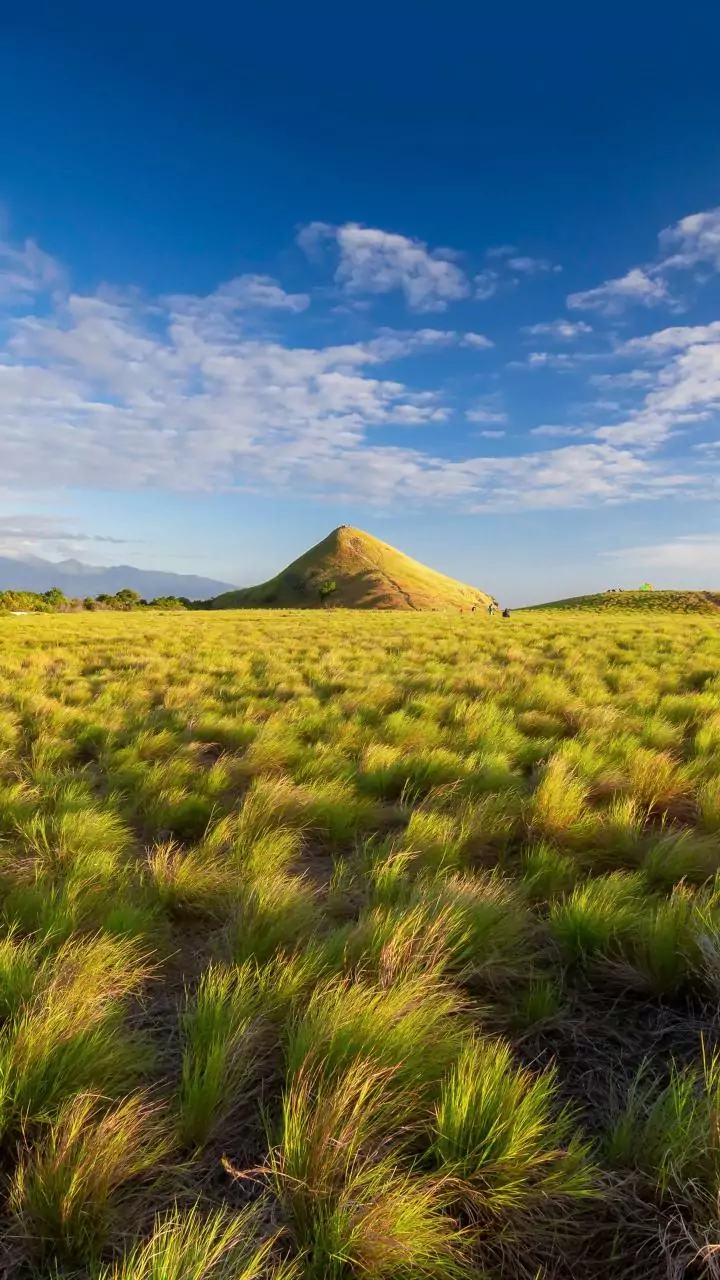 Humid afternoons become fun with balcony water-gun clean-ups