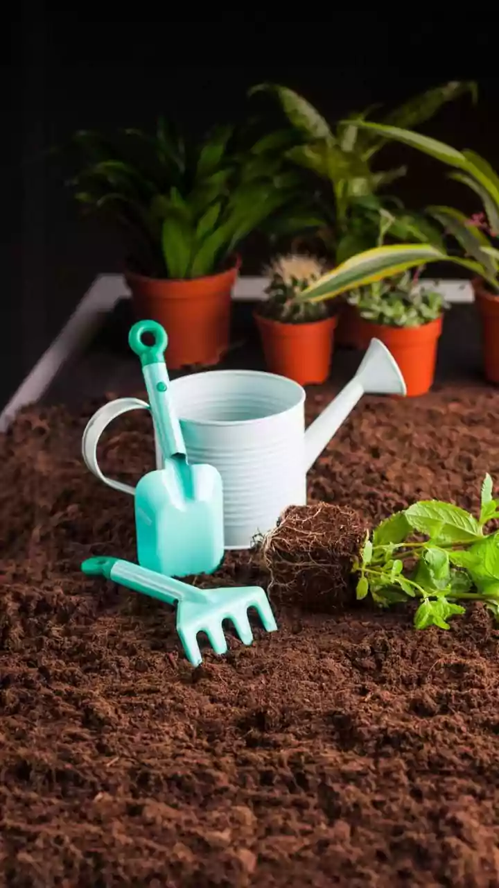 A Fresh Potting Guide Challenging Gravel Layers Puts Water Movement In Focus At Home