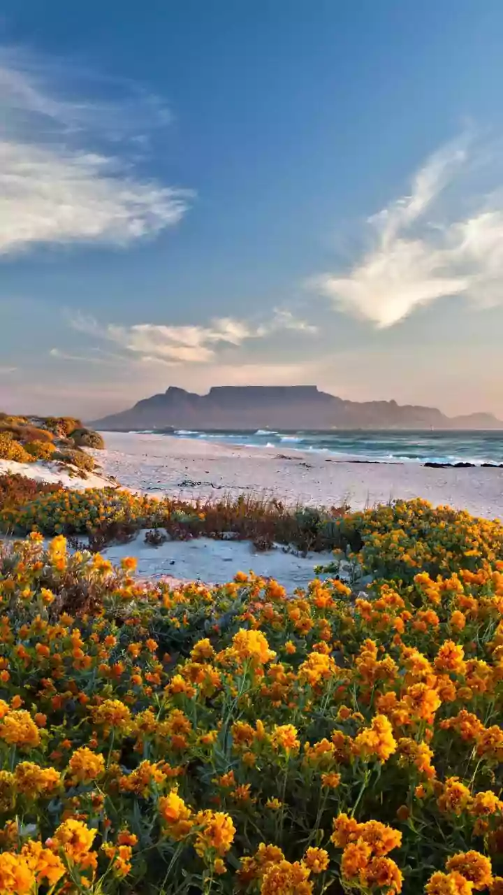 Why May To September Is The Best Time To Visit South Africa From India