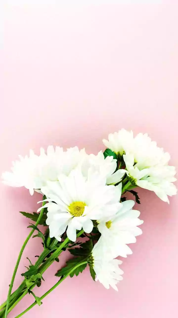 8 Enchanting Baby Girl Names Inspired by Flowers