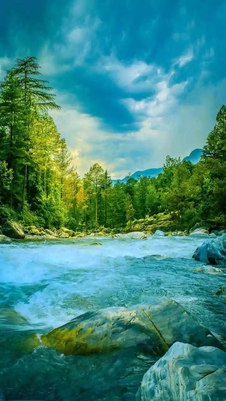 Flash Flood Vs River Flood: What Is The Difference And Why It Matters