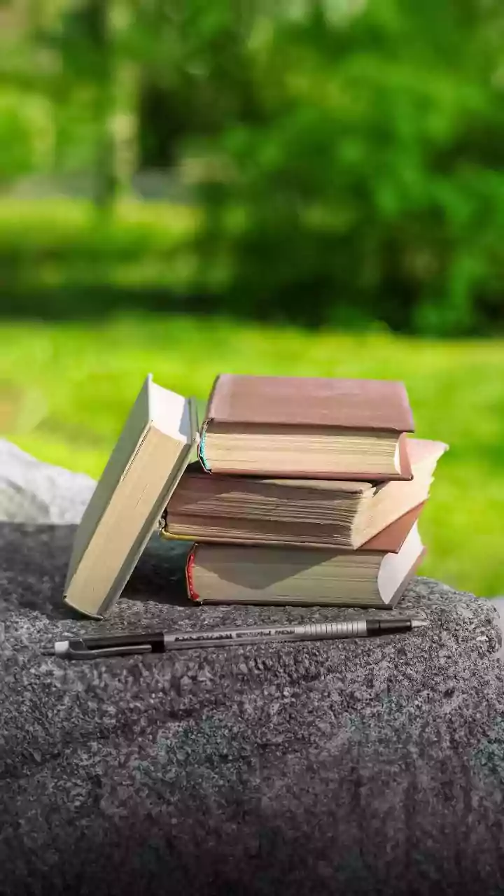 From Village Fields to Civil Services: A Success Story