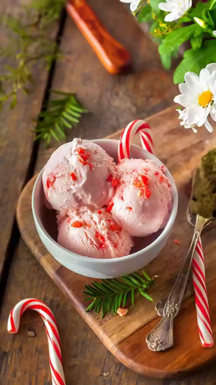 PETA India Spreads Christmas Cheer With Free Vegan Ice Cream In Pune
