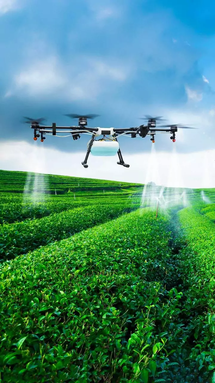 Maharashtra govt extends e-crop survey deadline to Nov 30