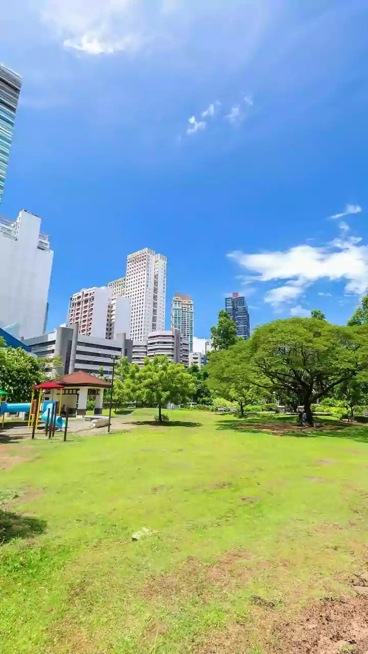 Urban Forests: Cities' Cool Guardians Against Deadly Heatwaves