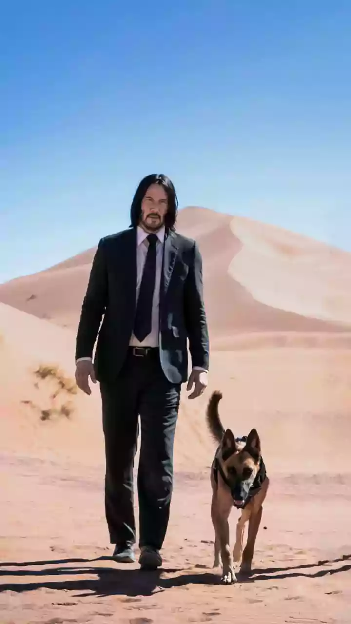 From John Wick To MCU: Explosive Hollywood Action Movie Franchises Popular In India Today