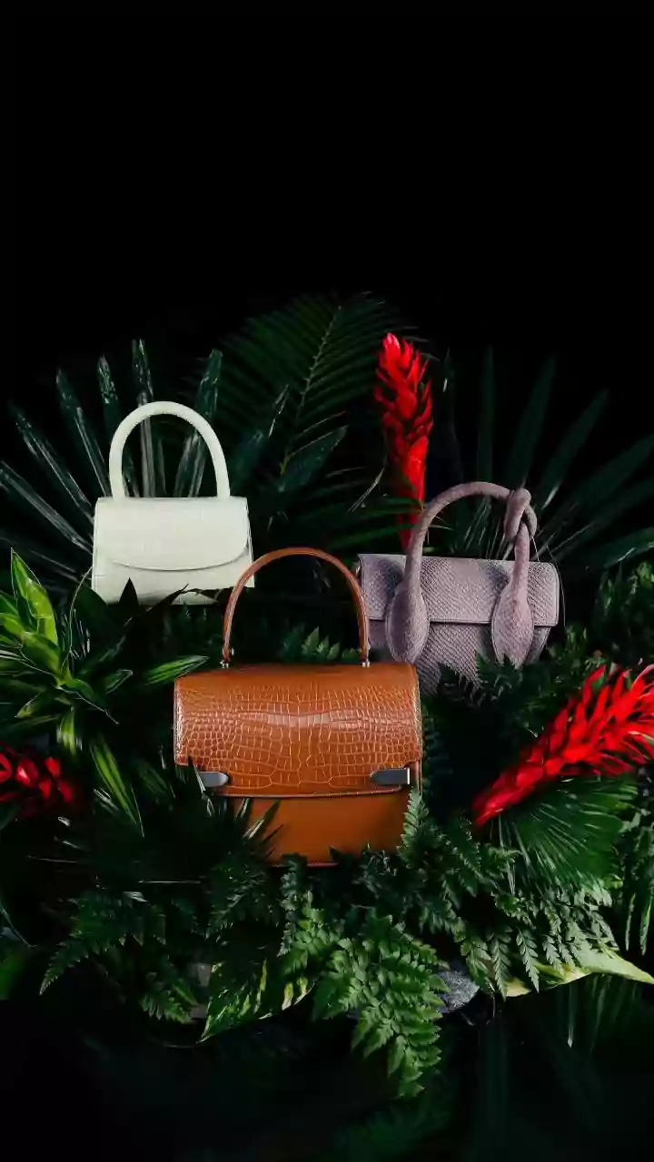 7 Tren Tas Terbaru yang Wajib Kamu Punya