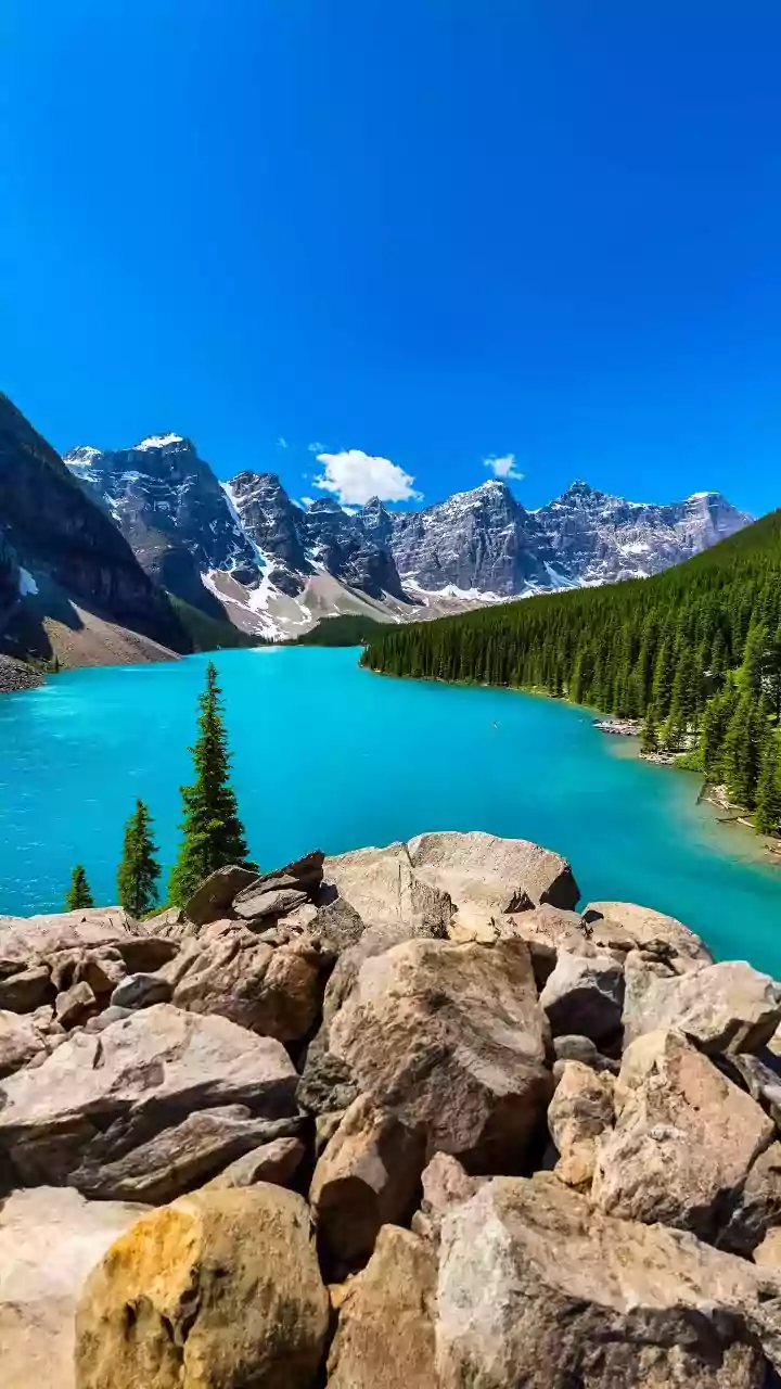 Jaishankar at G7 meeting: Nations must join hands on energy