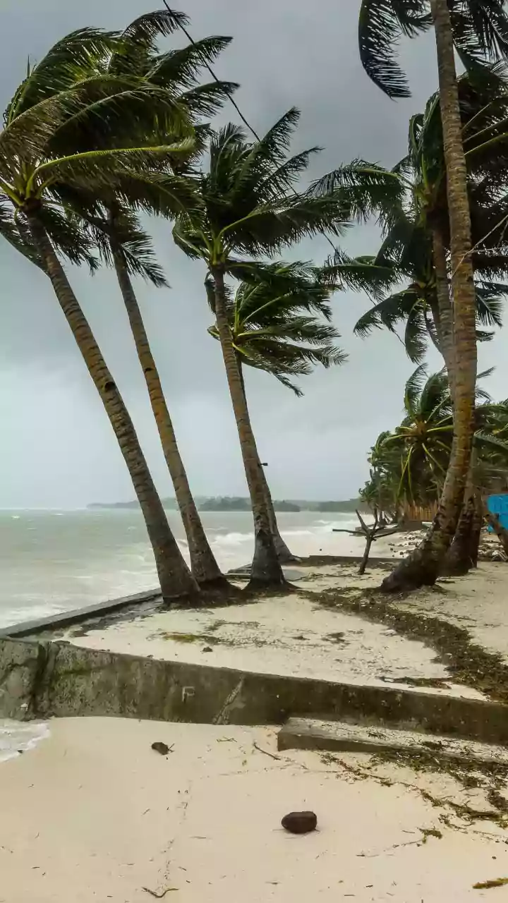 Monsoon Current Gathers Strength Over Bay Of Bengal IMD Reports
