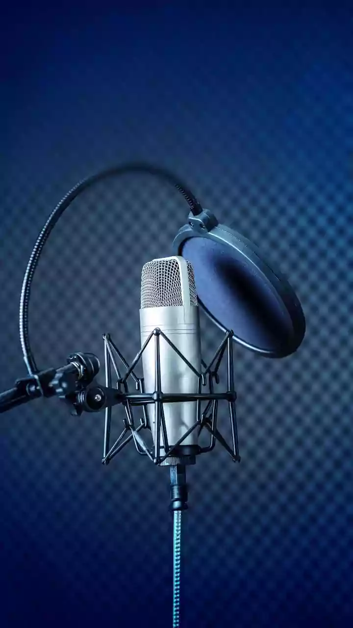 Why Soundproofing Living Spaces Restores Hormonal Balance By Cutting Urban Noise Pollution And Elevated Cortisol