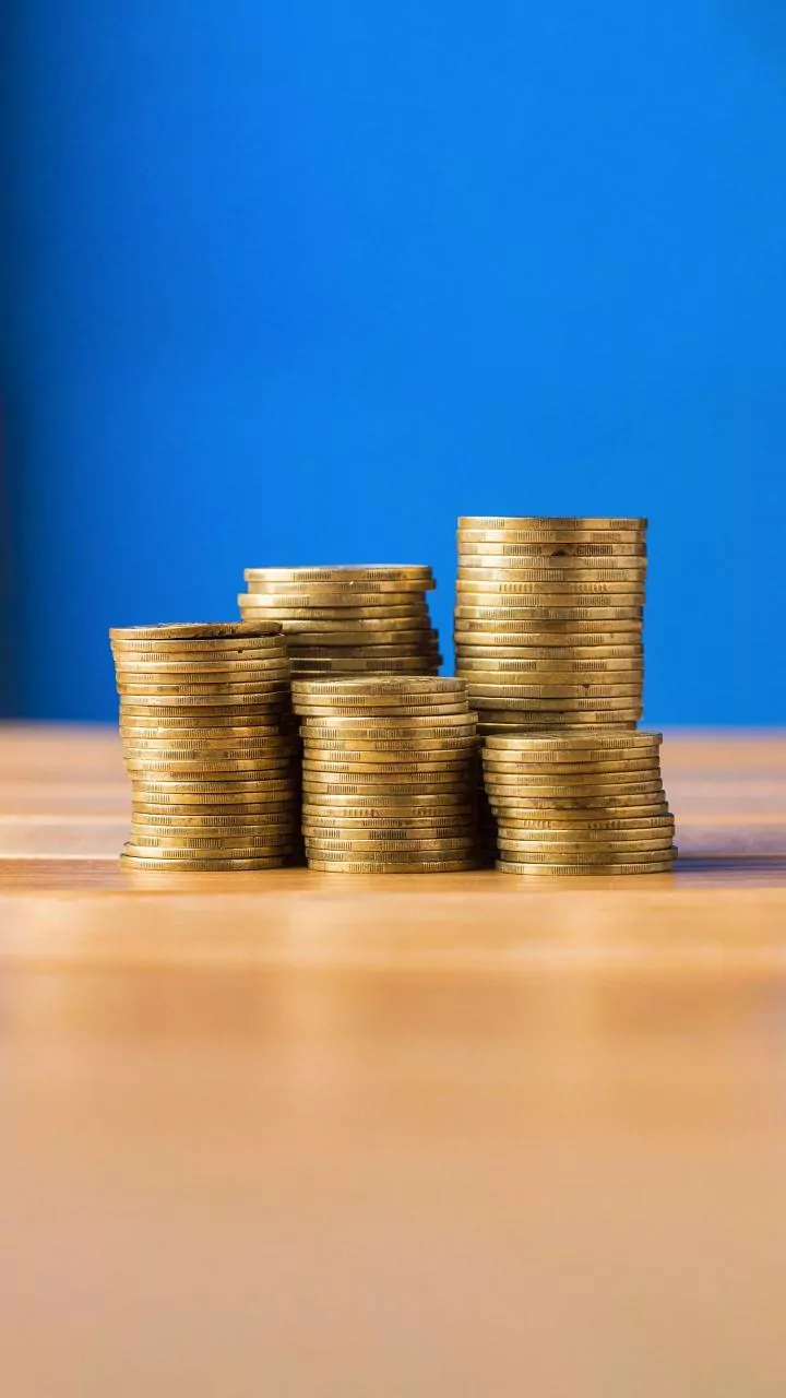 Decoding the Best Large Cap Funds: A Guide for Investors