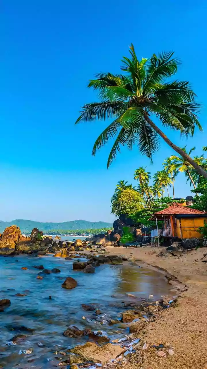Goa Tourism Under Scrutiny: Hotels & Shacks Accused of Dodging Fees Through Registration Fraud