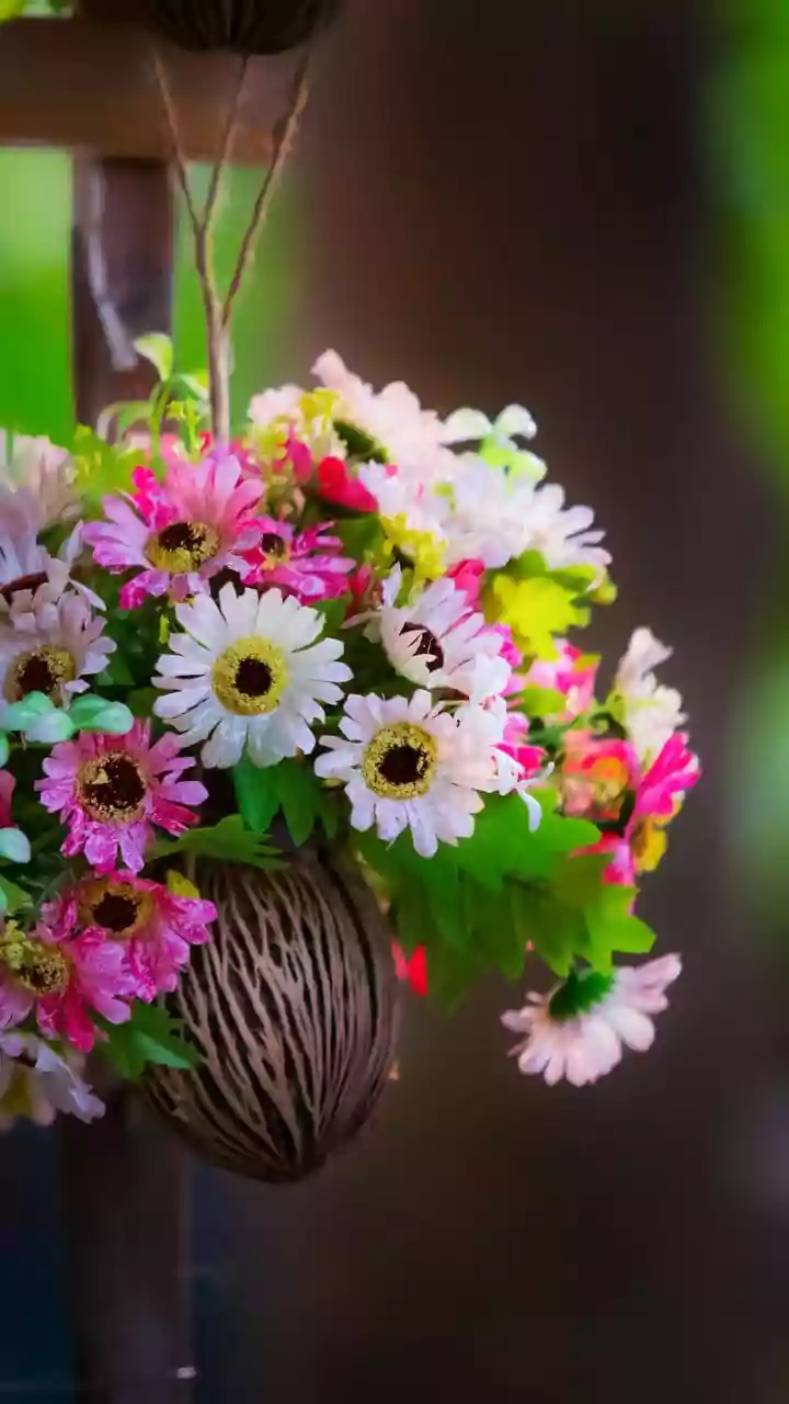 Secure Attachment Matters When Flowers Hang Above Crowded Celebration Spaces
