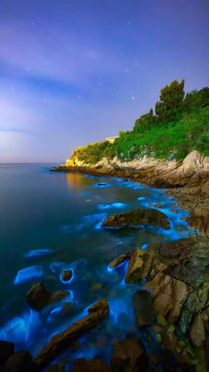 Night Sky Enthusiasts Capture Glowing Ocean Waves Along Karnataka Beaches