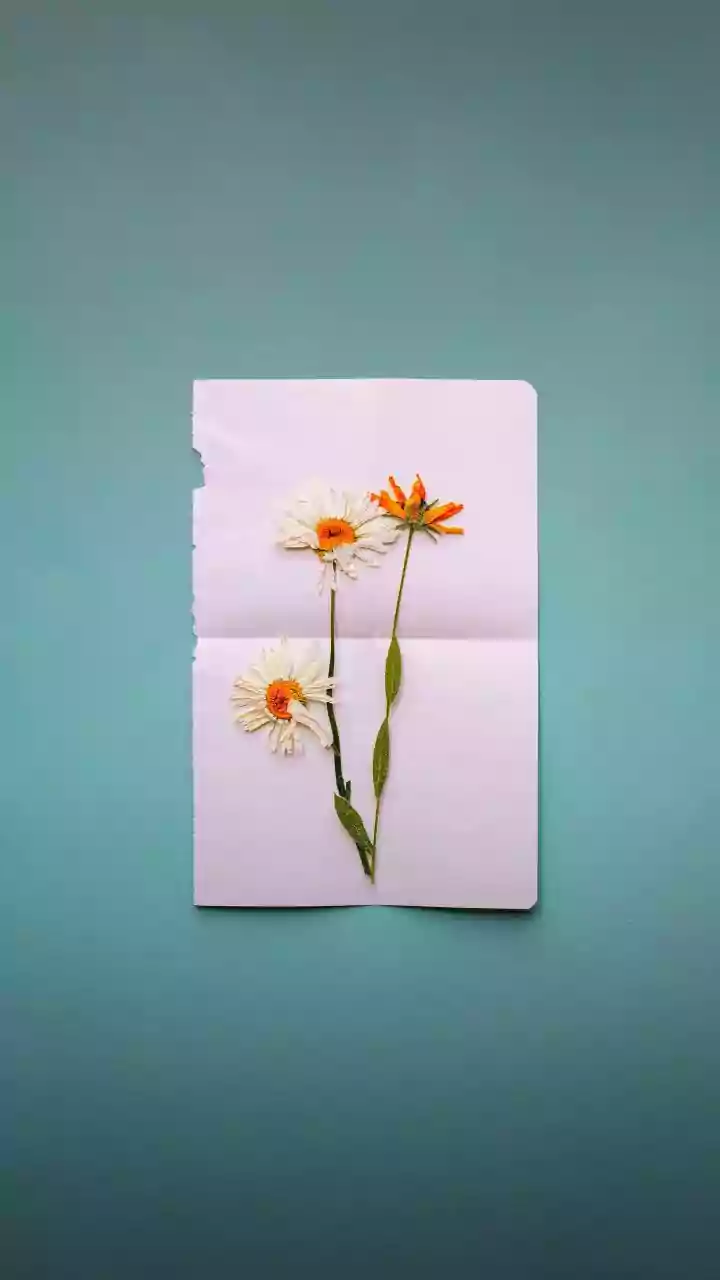 Pookalam On A Budget: Simple Designs With Maximum Visual Impact