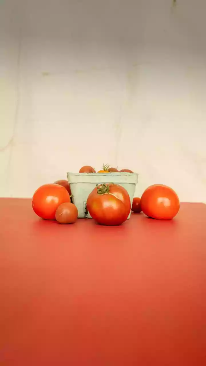 McDonald's in India fails food safety test, rotten tomatoes found