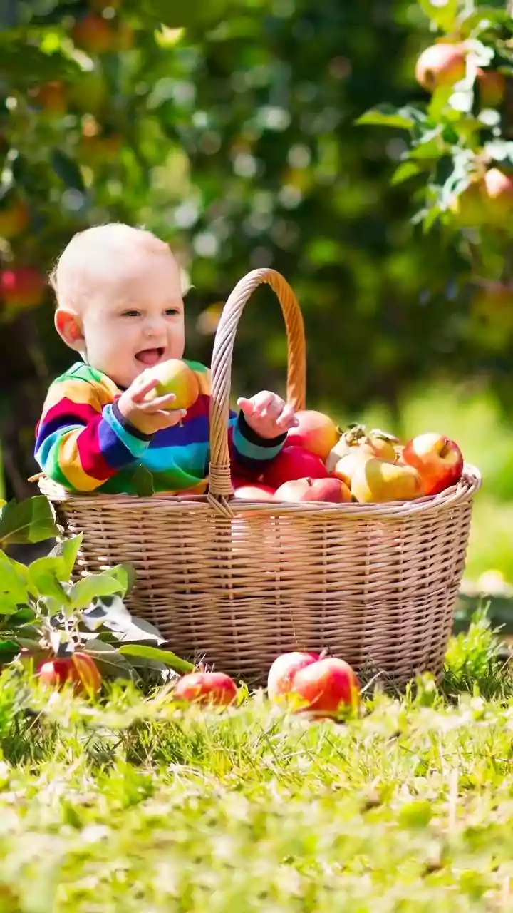 Names Reflecting Everyday Virtues: A Guide to Subtle Strengths for Your Baby