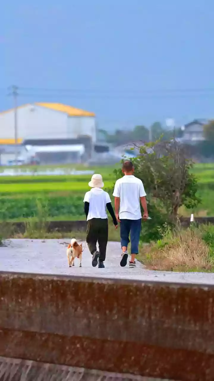 The Science And Habit Logic Behind Short Daily Walks