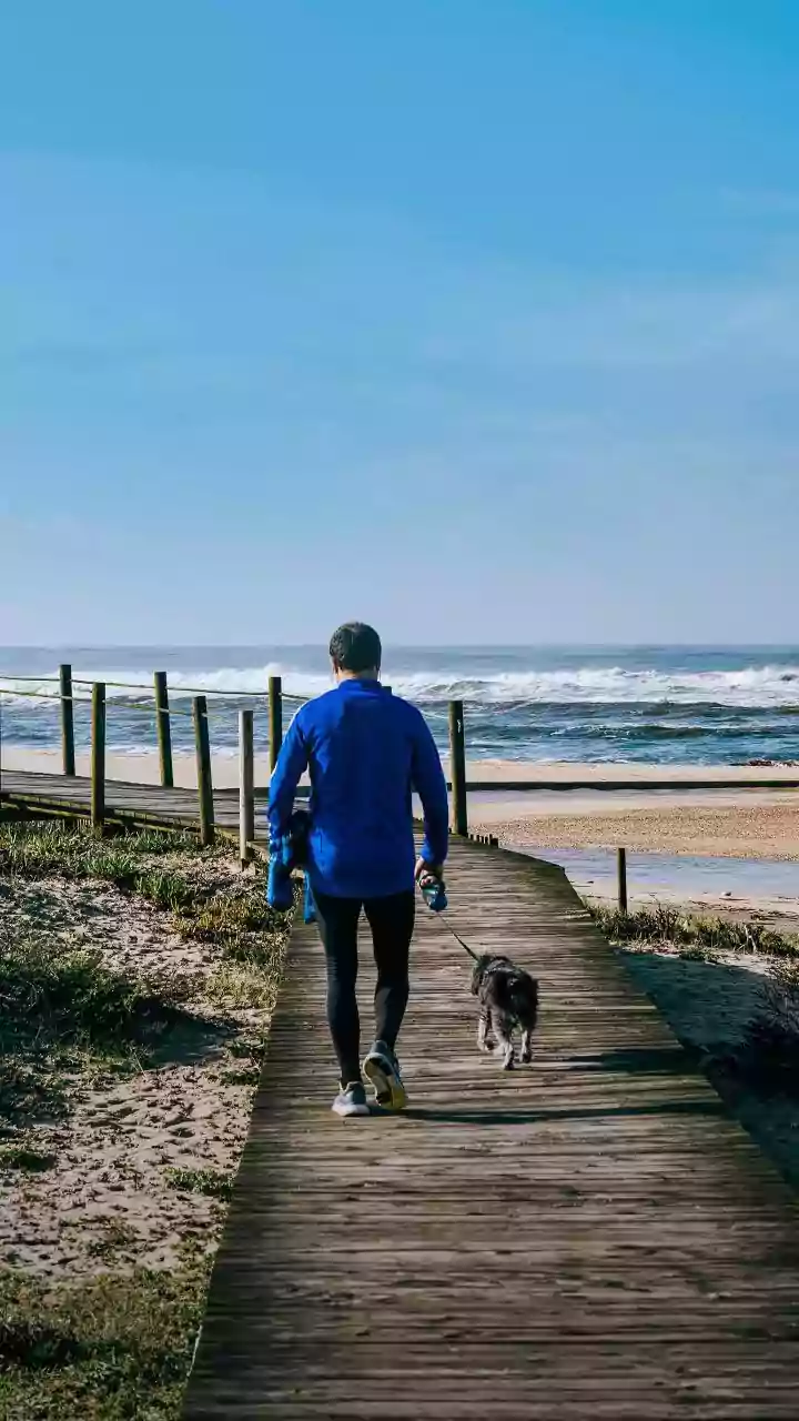 Short Walks Turn Breaks Into Wellness Moments